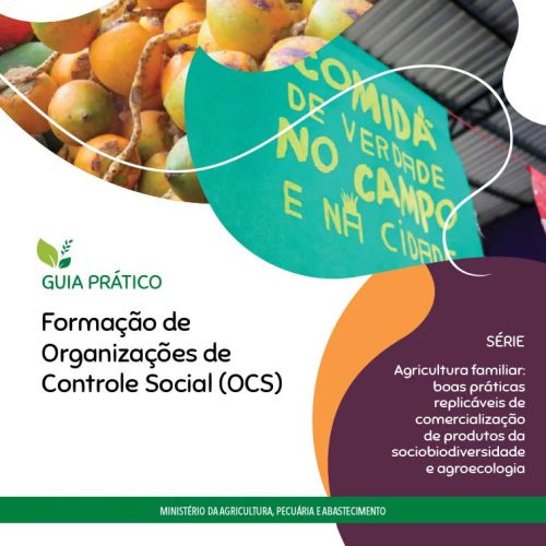 Guia Prático: Formação de Organizações de Controle Social (OCS) - 2020