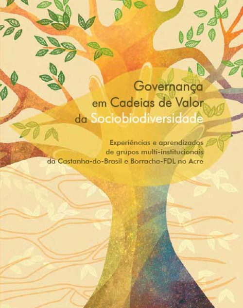 Governança em Cadeias de Valor da Sociobiodiversidade - 2012