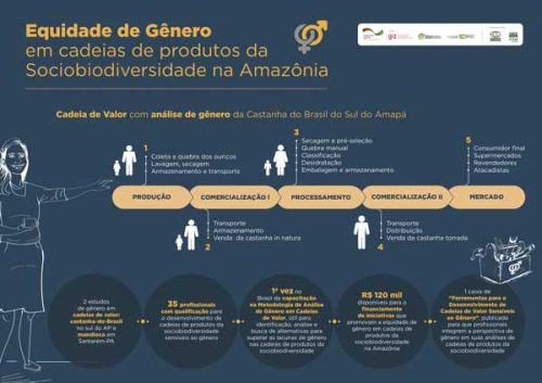 Infográfico - Equidade de Gênero em cadeias de produtos da sociobiodiversidade na Amazônia - 2019