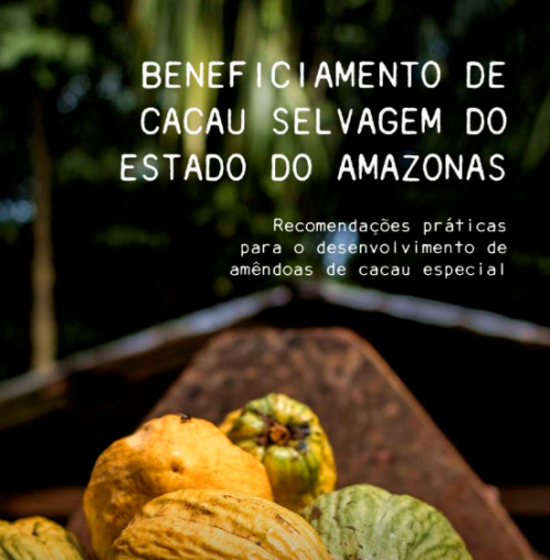 Beneficiamento de Cacau Selvagem do Estado do Amazonas
